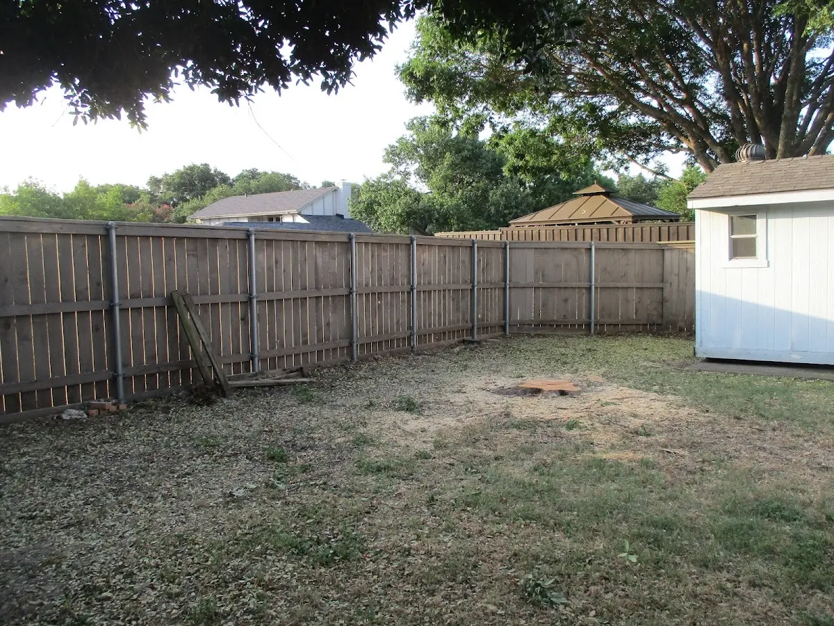 Cleared yard after professional tree removal in Soso